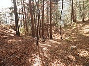 PB210055.JPG