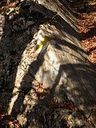 PB210063.JPG
