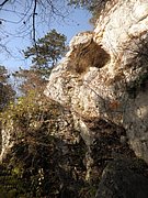 PB210064.JPG