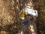 PB210071.JPG