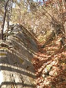 PB210073.JPG