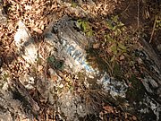 PB210074.JPG
