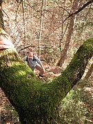 PB210075.JPG