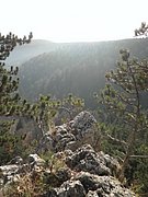 PB210078.JPG