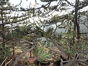 PB210084.JPG