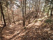 PB210085.JPG
