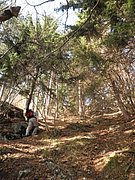 PB210086.JPG