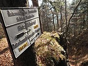 PB210087.JPG