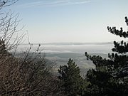 PB210093.JPG