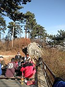 PB210098.JPG