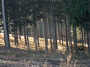 PB210104.JPG