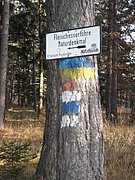 PB210108.JPG