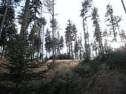 PB210116.JPG