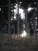 PB210122.JPG