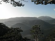 PB210125.JPG