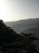 PB210126.JPG