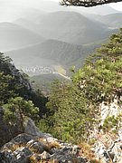 PB210128.JPG