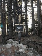 PB210132.JPG