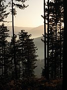 PB210142.JPG