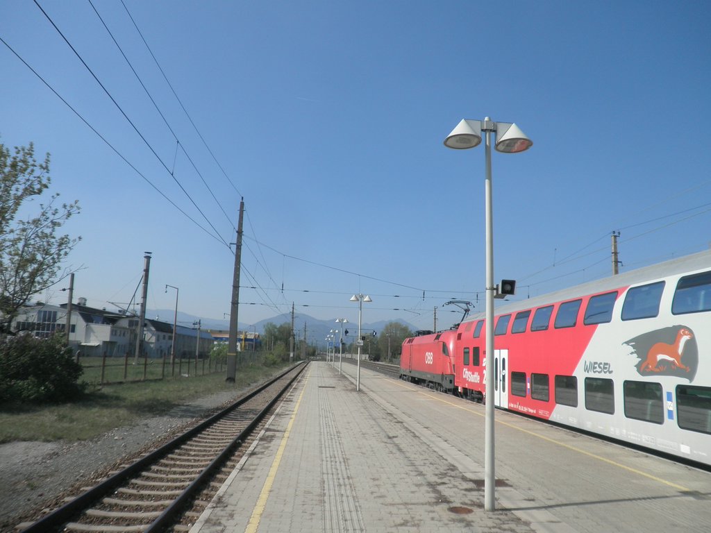 P4230016.JPG