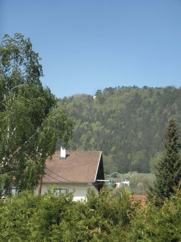 P4230025.JPG