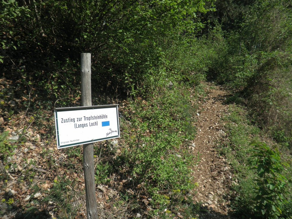 P4230027.JPG