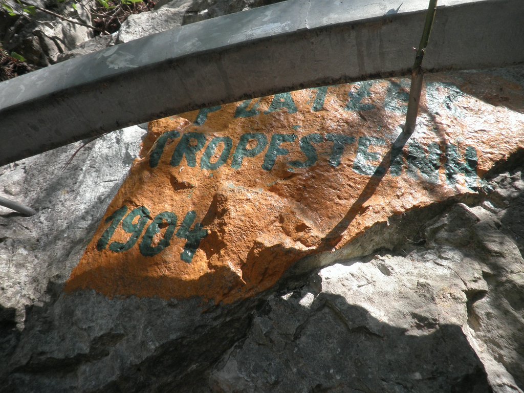 P4230035.JPG
