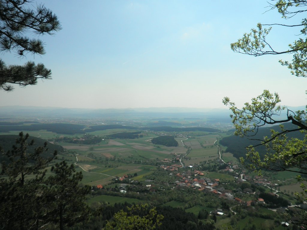 P4230046.JPG