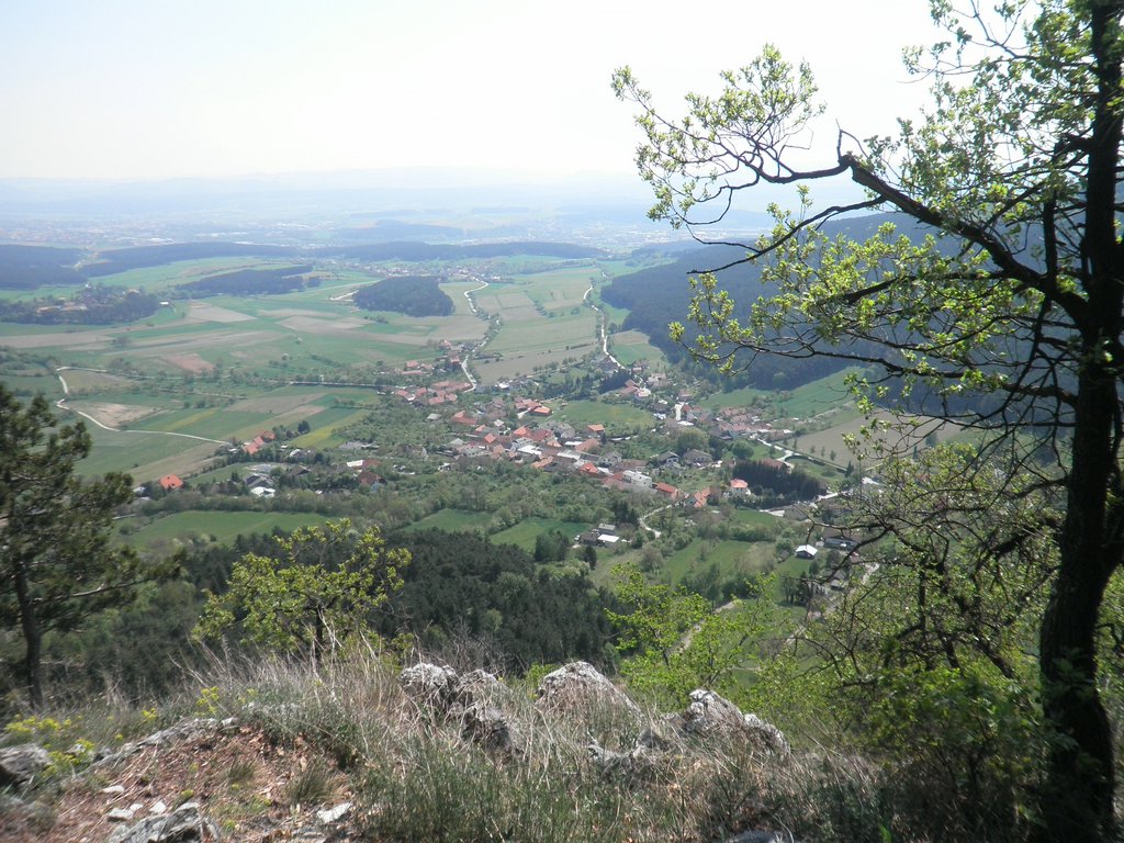 P4230047.JPG