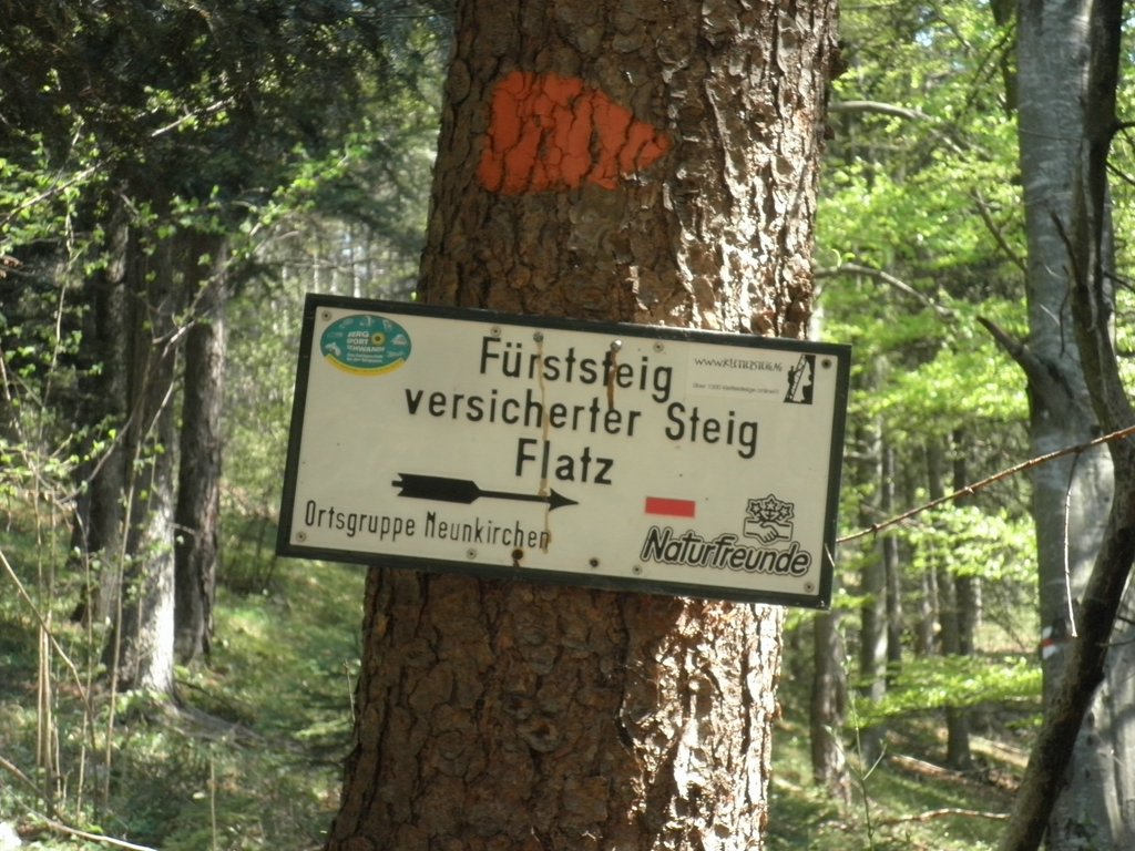 P4230049.JPG
