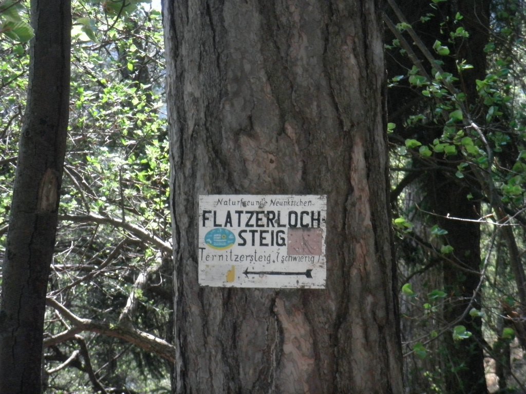 P4230059.JPG