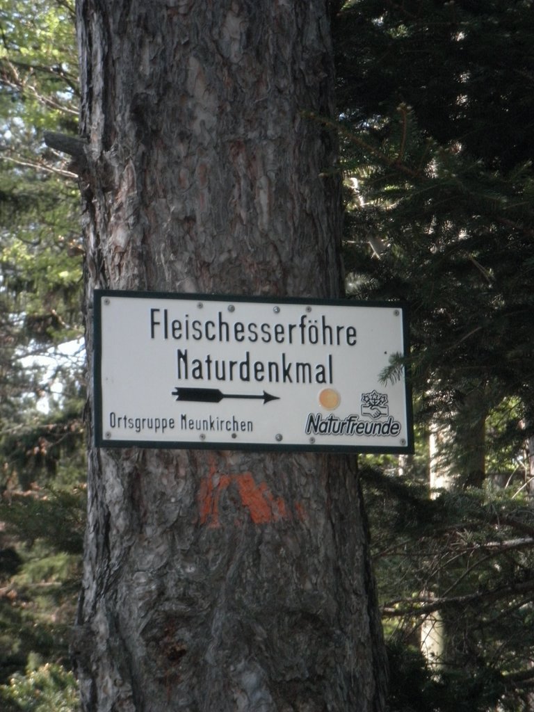 P4230063.JPG