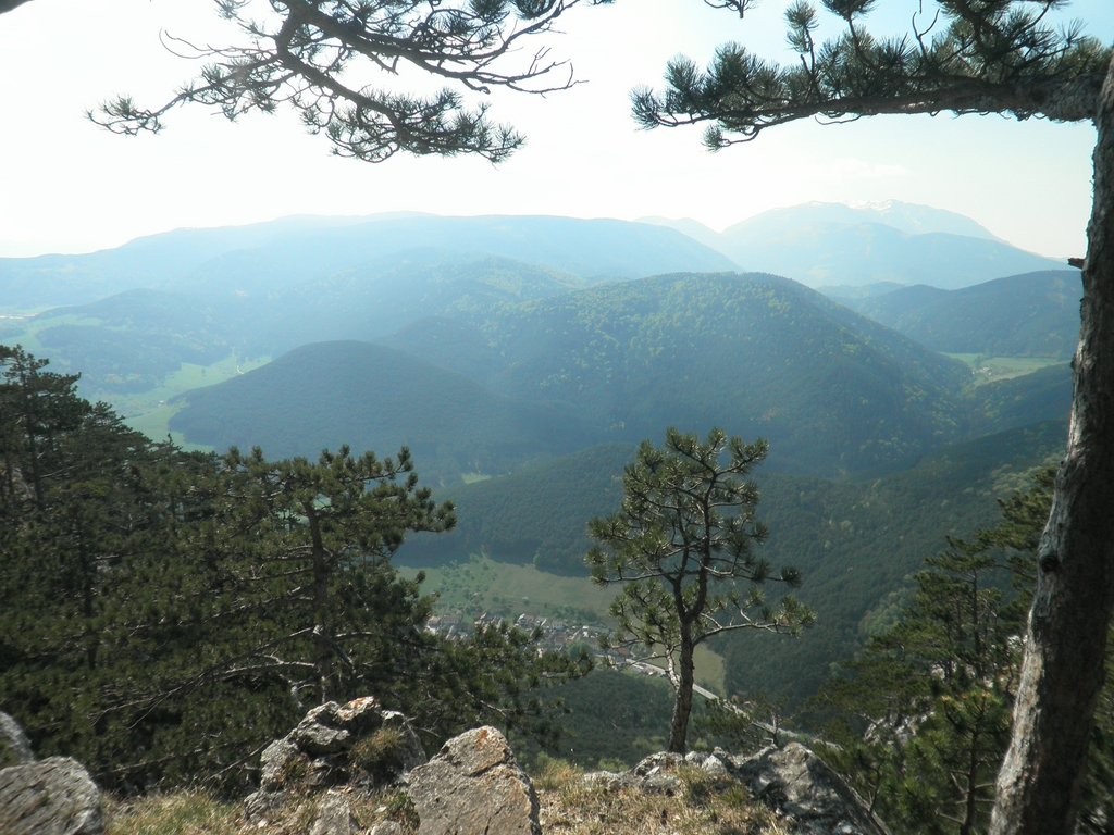 P4230066.JPG