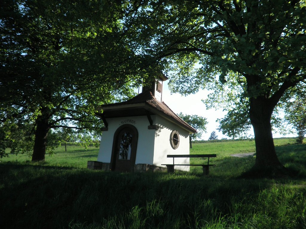 P4230070.JPG