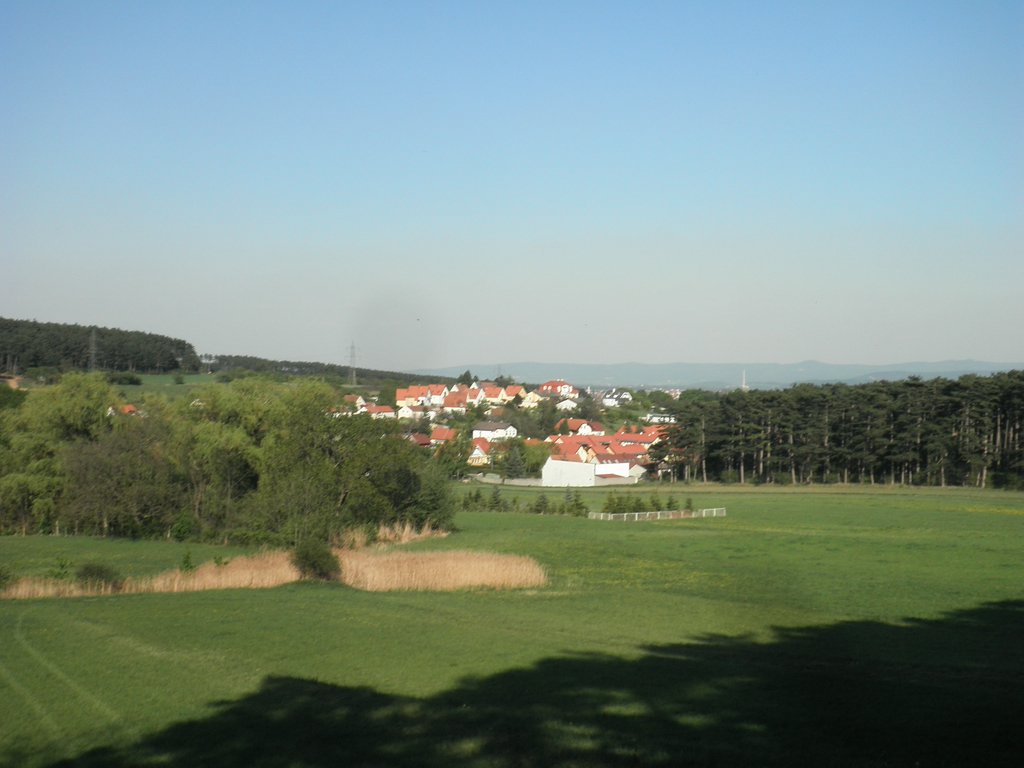 P4230071.JPG