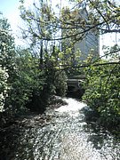 P4230017.JPG