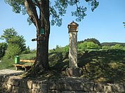 P4230022.JPG