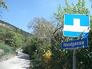 P4230026.JPG