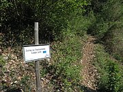 P4230027.JPG