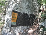 P4230032.JPG