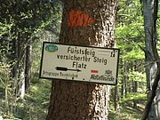 P4230049.JPG