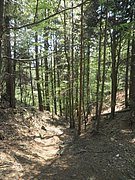 P4230050.JPG