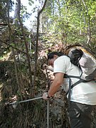 P4230051.JPG