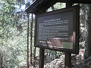 P4230056.JPG