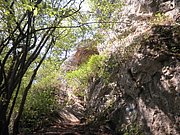 P4230057.JPG