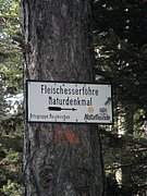 P4230063.JPG