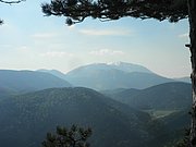 P4230065.JPG