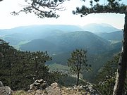 P4230066.JPG
