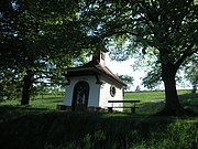 P4230070.JPG
