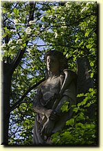 _IMG0792.JPG